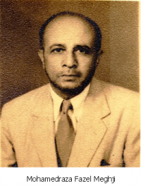 Mohamedraza Fazel Meghji1.png